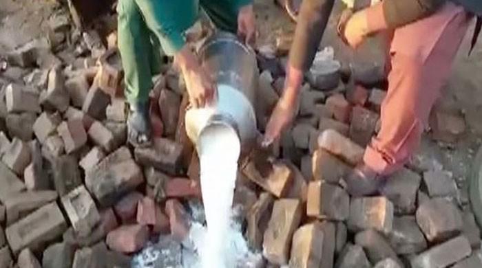 PFA disposes of 800 litres of adulterated milk in Faisalabad
