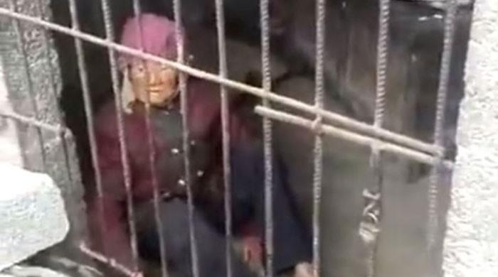 China outrage over 92-year-old woman kept in pigsty