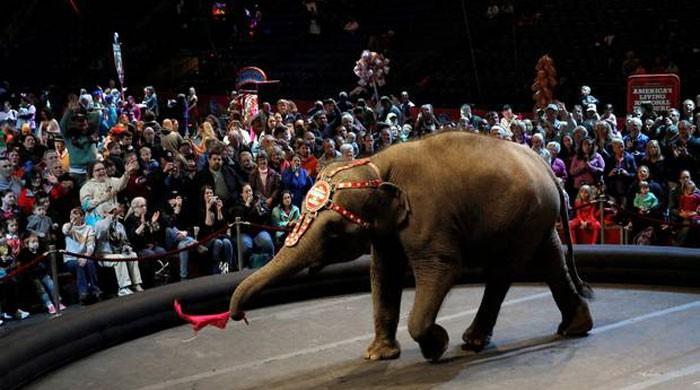 Ringling Bros. circus folds its tent after nearly 150 years