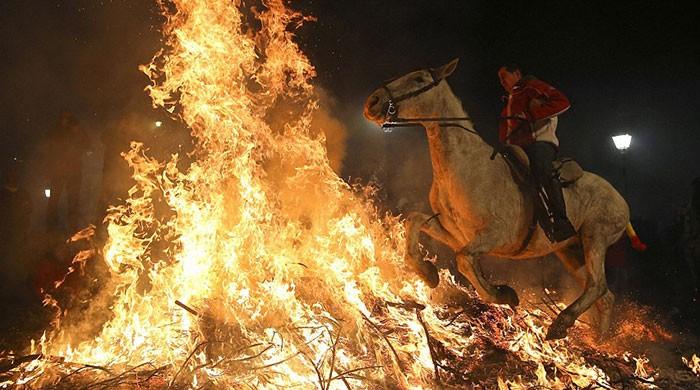 Horses leap through fire in this Spanish tradition