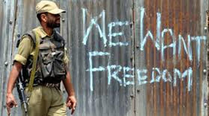 British MPs demand right to self -determination for people of IoK