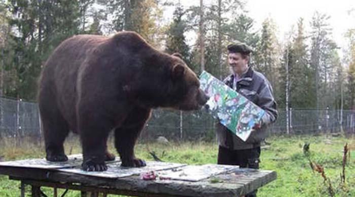 Juuso the bear makes artistic debut at Finnish gallery