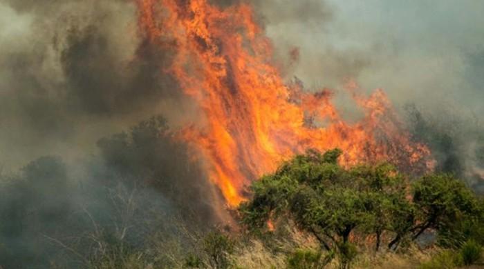 Chile farmers fight wildfire catastrophe