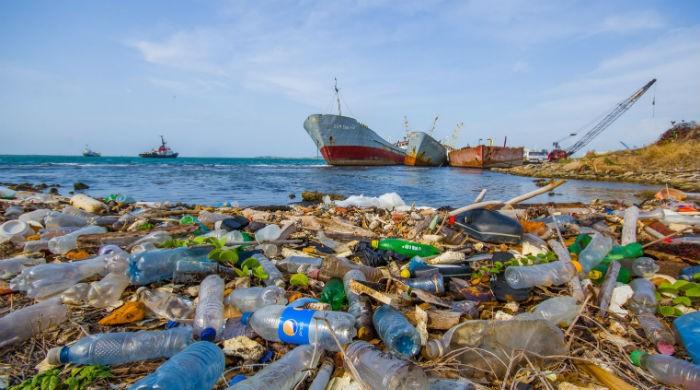 Seafood eaters consume up to 11,000 small pieces of plastic every year, study warns