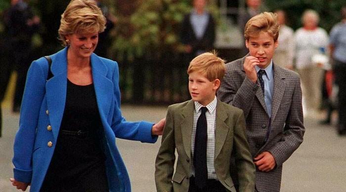 William and Harry to build statue to honour Princess Diana