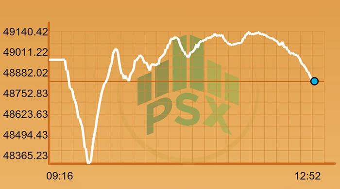 Rollercoaster ride continues at PSX, SECP cleaning likely to smoothen the ride