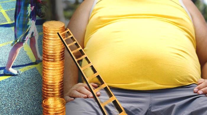 Low social rank bigger health risk than obesity: study