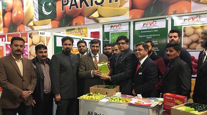Pakistan showcases exports at Fruit Logistica 2017