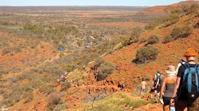 Elderly German tourist mysteriously disappears, after spouse found dead in Outback