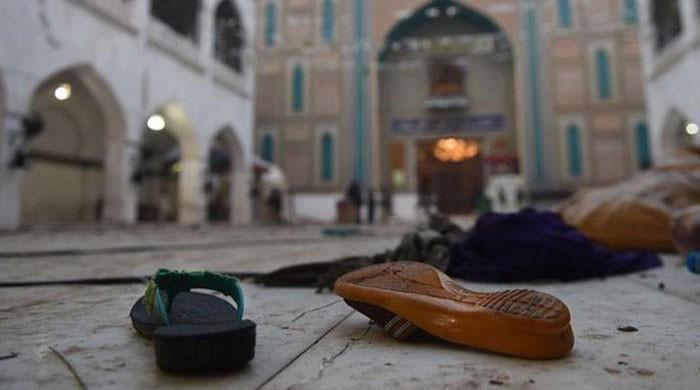 Six suspected facilitators of Sehwan blast arrested: sources