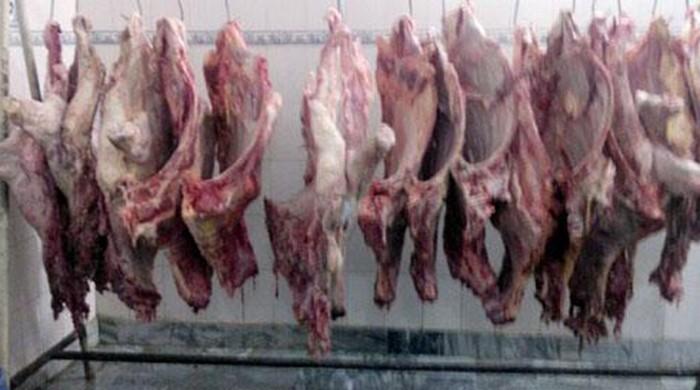 Six arrested for selling meat of dead animals in Tando Allahyar