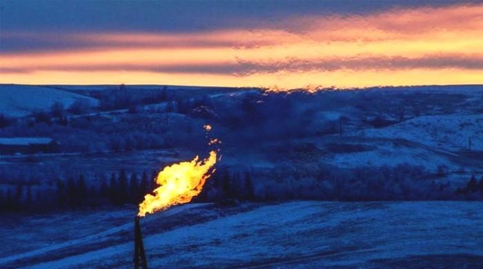 Oil prices flatline as US drilling counters OPEC output cuts
