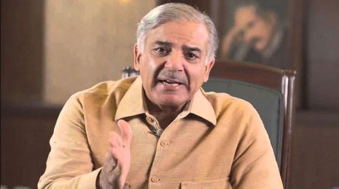 Shehbaz directs to expedite combing operations in Punjab