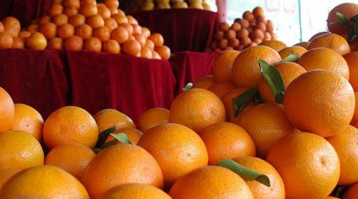Iran conditionally lifts ban on import of Kinnow from Pakistan