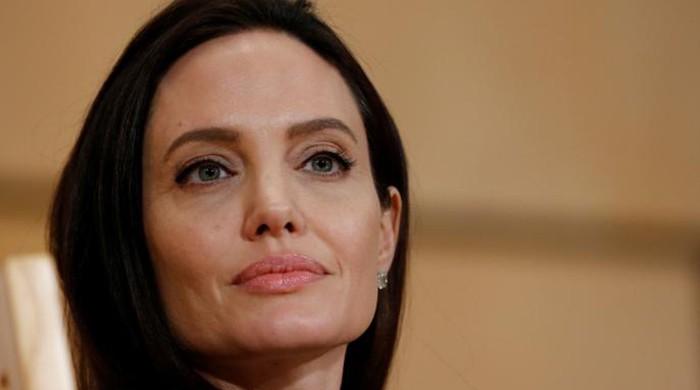 Angelina Jolie appeals for commitment to 'imperfect' UN