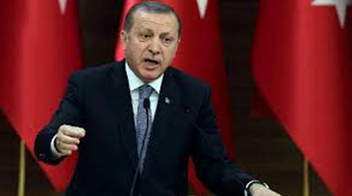 Erdogan says Turkey may hold referendum on EU accession bid