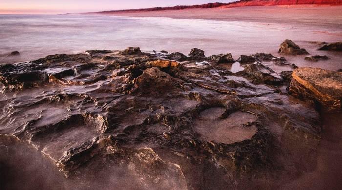 'Unparalleled' number of dinosaur tracks found in Australia
