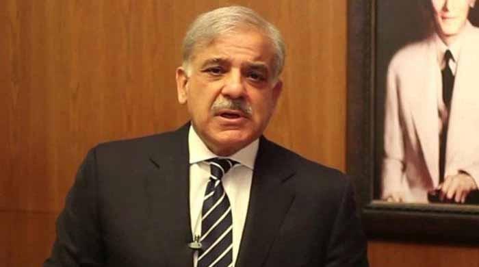 Loadshedding to end by this year’s end: CM Punjab