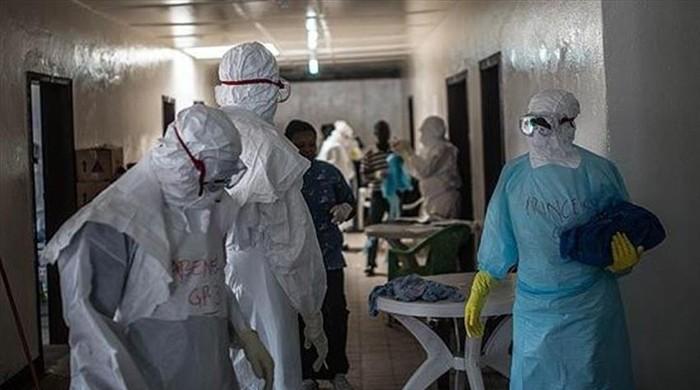 Meningitis outbreak in Nigeria kills 269 people