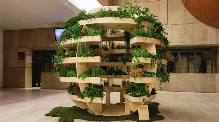 New furniture allows you to grow food in your own house