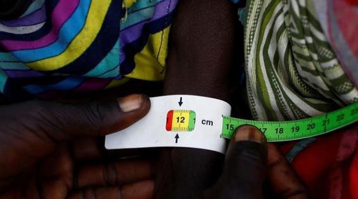 Four countries face famine threat as global food crisis deepens