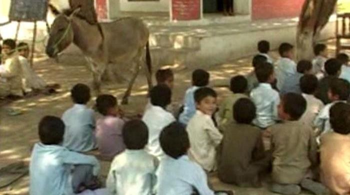 Balochistan education ministry constitutes team to monitor govt schools