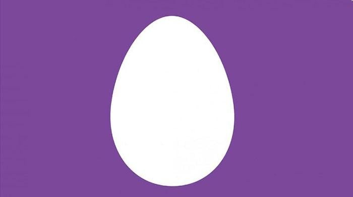 Image result for twitter egg icon