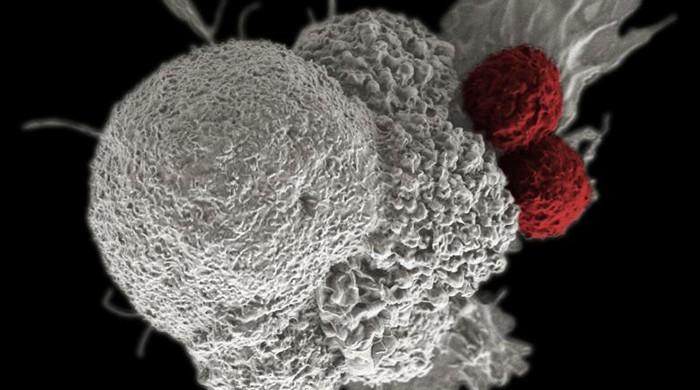 The cost of cancer: new drugs show success at a steep price