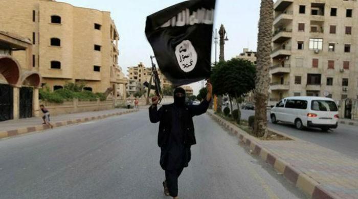 Daesh kills 31 in Iraq's Tikrit: security sources, medics