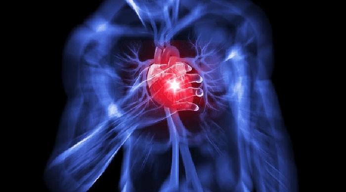 Experimental muscle-cell 'patches' may hold promise for failing hearts