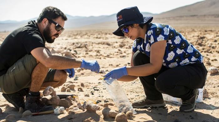 Chile desert combed for clues to life on Mars