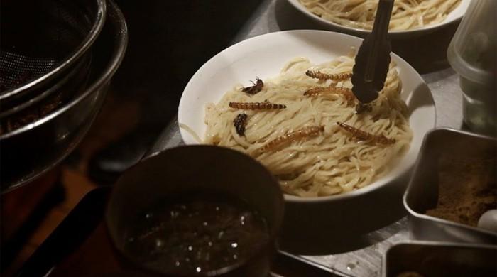 A dash of bugs with that? Insect-topped noodles sell out in Tokyo