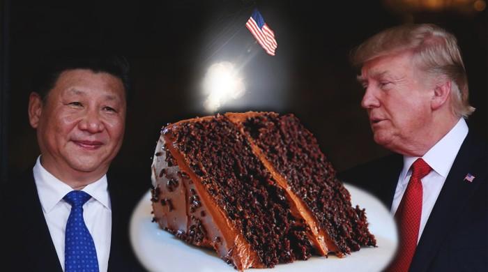 Trump ordered Idlib attack 'during dessert', confused Syria with Iraq