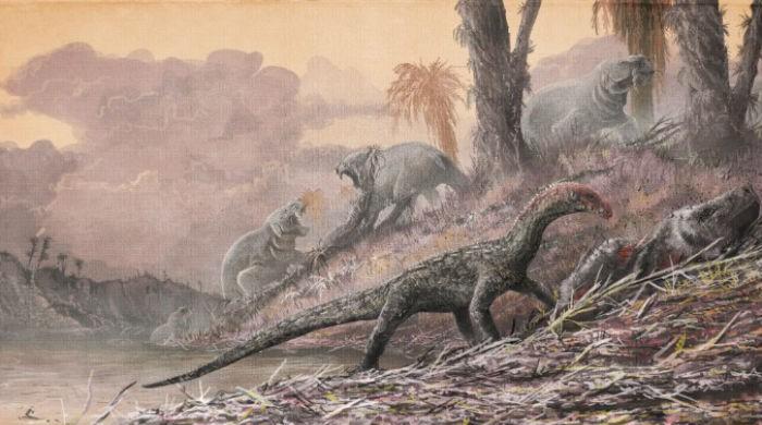 Dino ancestors looked like crocodiles: study