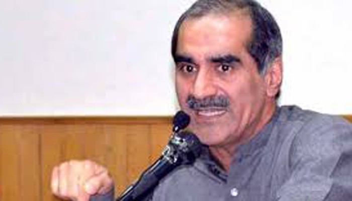 Saba Rafique SC not given conducive environment for Panama case proceedings: Saad ...
