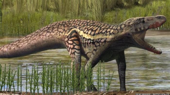 Scientists find footprint of unknown ancient reptile in Spain