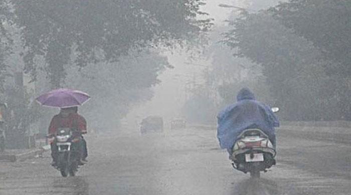 Seven killed in rain-related incidents in Punjab