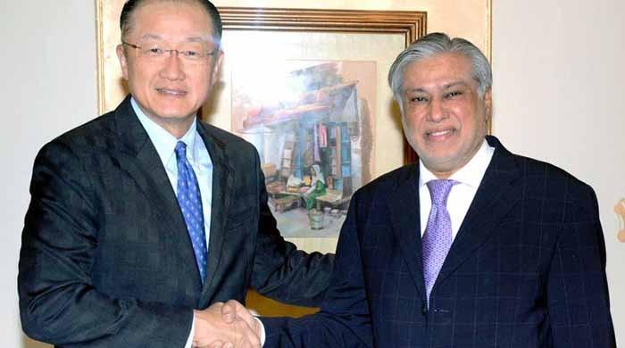 Finance Minister Ishaq Dar meets World Bank President in Washington