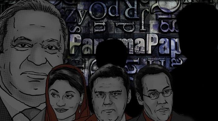 Who will lead the Panama Leaks investigation team?