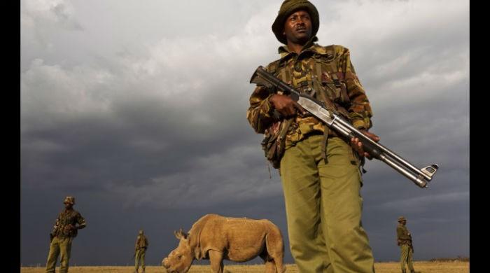 Kenya´s last northern white rhino joins Tinder