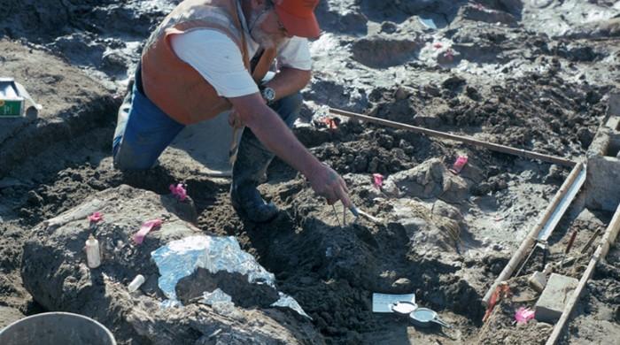 Humans in America '115,000 years earlier than thought'
