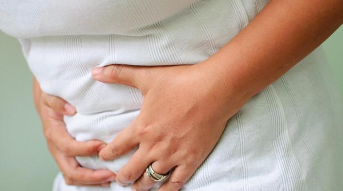 Soy protein reduces severity of inflammatory bowel disease: Penn state researchers