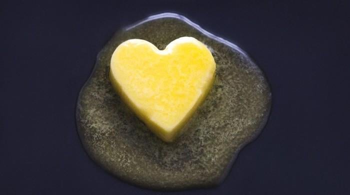 Rethink emphasis on lowering saturated fat to save hearts: docs