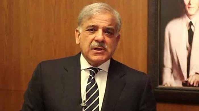 Power shortfall: Previous govts displayed criminal negligence, says CM Shehbaz