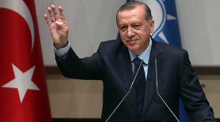 Erdogan warns Turkey could 'say goodbye' to EU