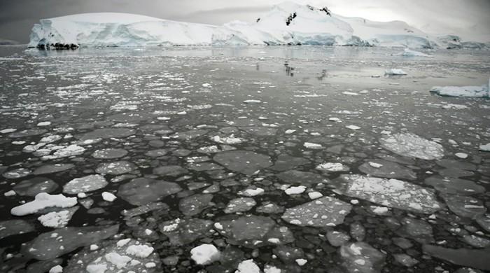 Ice loss in southwest Antarctica may be slower than thought: study