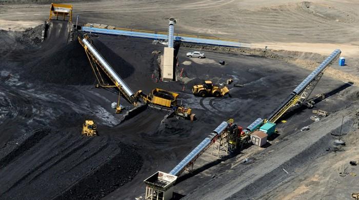 Noise pollution risks animals' survival in the wild: study