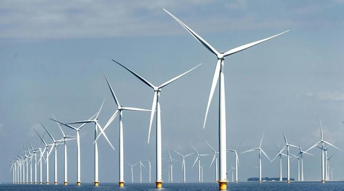 Dutch open 'world's largest offshore' wind farm