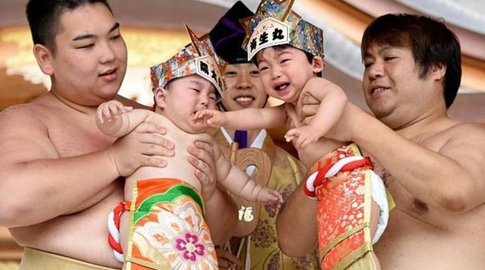 Bawling babies face off in Japan´s ´crying sumo´