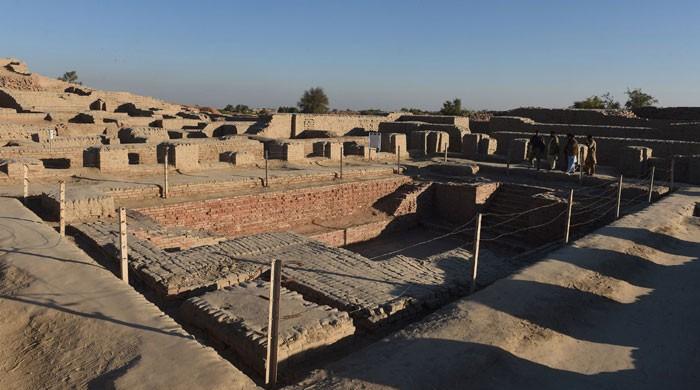 Saving ruins of a lost city, Mohen jo Daro